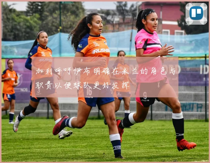 加利呼吁伊布明确在米兰的角色与职责以便球队更好发挥